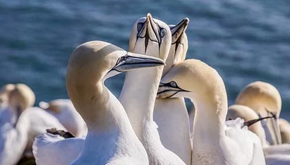 世界杯手机观看-圈子不同别硬融，库追汤赛后叙旧波杰想加入，尬聊几句后悻悻离开