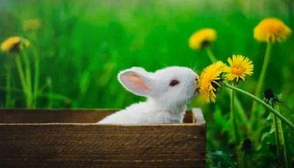 世界杯手机观看-圈子不同别硬融，库追汤赛后叙旧波杰想加入，尬聊几句后悻悻离开